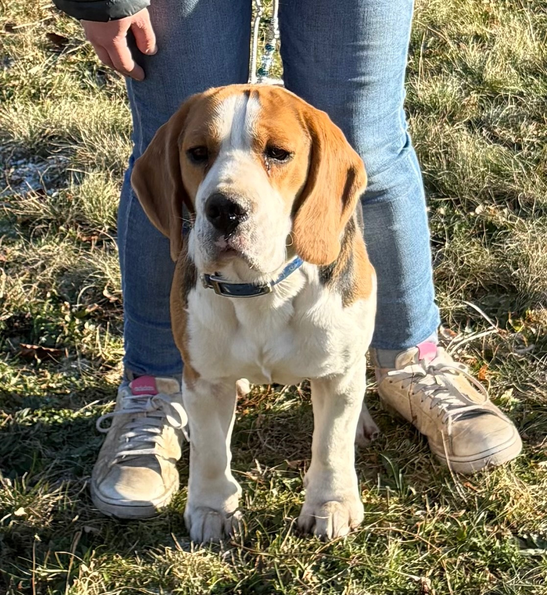 Vainqueur de la Cascade d'Orion