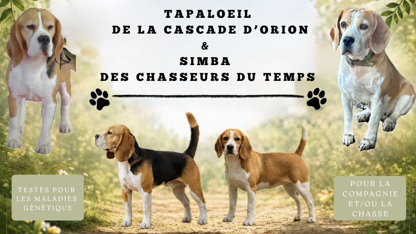 Prochaine portée