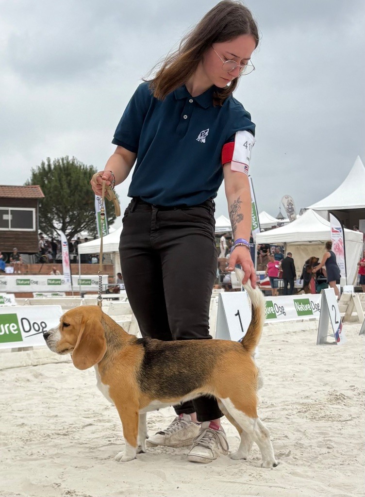 Concours Taïga