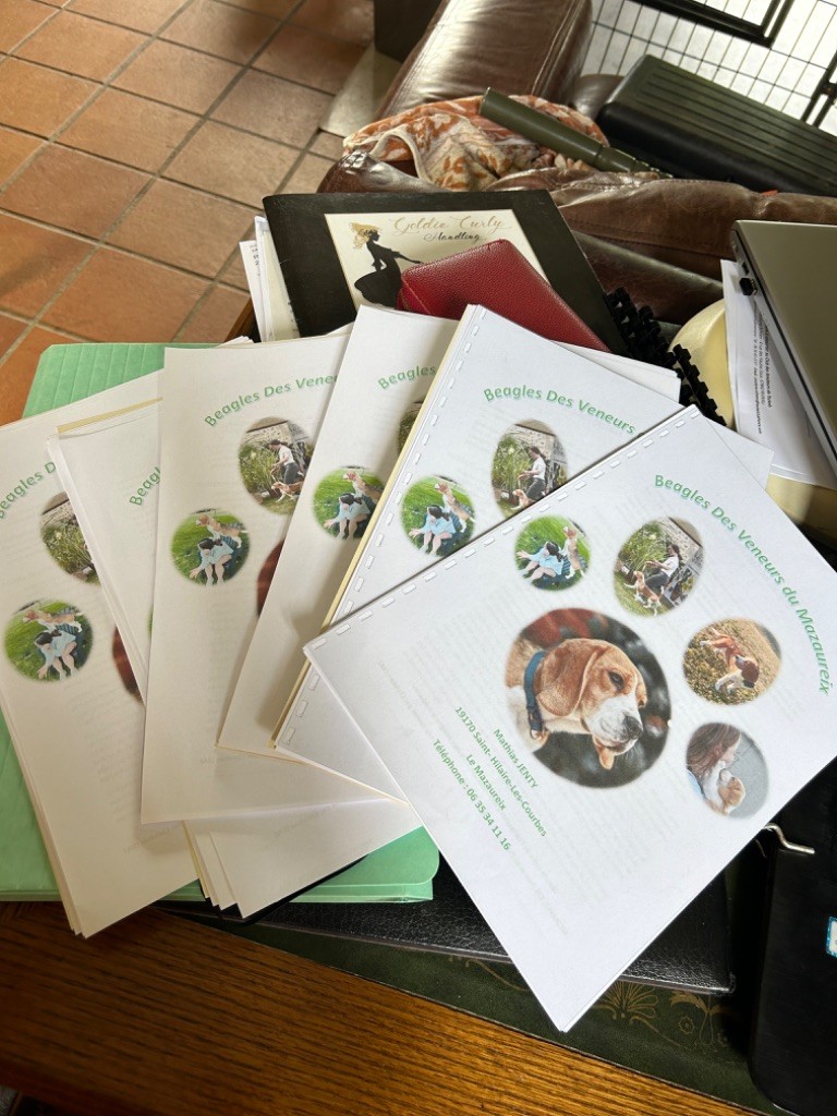 Premier chiots de Simba